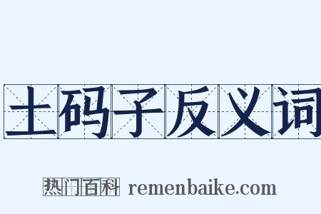 土码子反义词是什么意思的图片